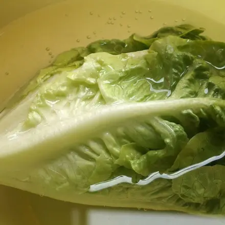 Schlapper Salat wird wieder knackig