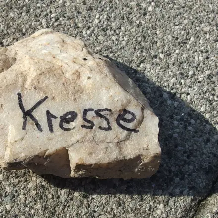 Schöne Namensschilder für Kräuter und Pflanzen