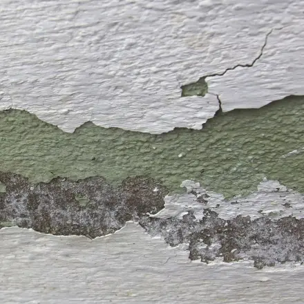 Zementmörtel zu flüssig angerührt, Mörtel alle