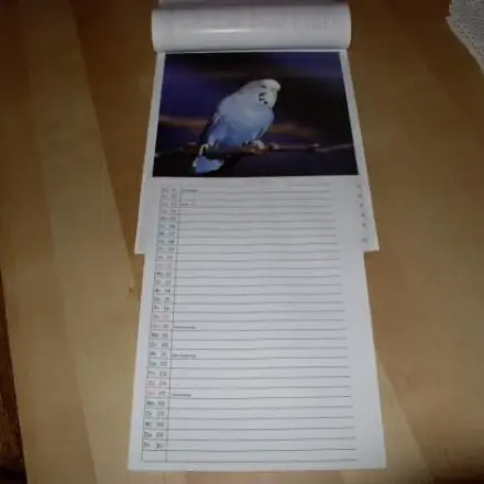 Familienwandkalender (fast) kostenlos - selbstgemacht