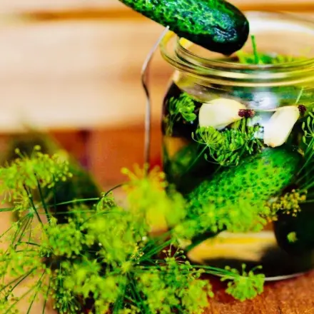 Kein jodiertes Salz für eingelegte Gurken