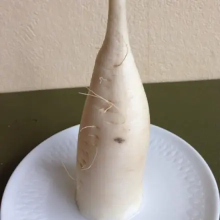 Radi / Rettich bleibt länger frisch