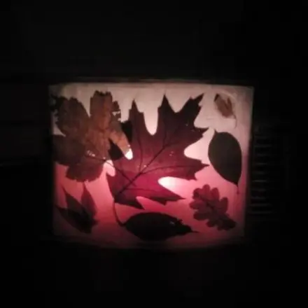 Warmes Herbstlicht mit Blättern