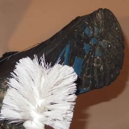 Hundekot o.ä. von Schuhen entfernen