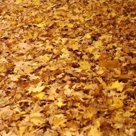 Mit der richtigen Outdoor-Bekleidung gesund durch den Herbst