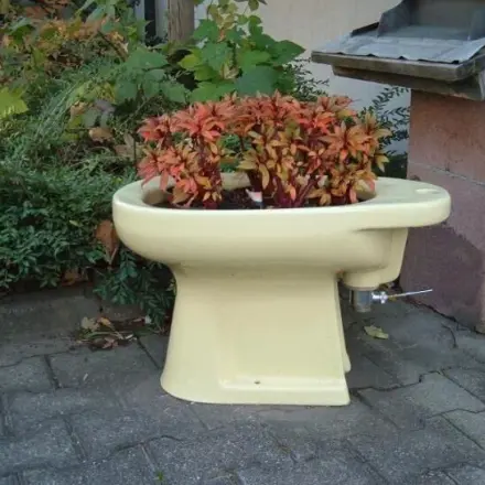 Bidet als Blumenübertopf