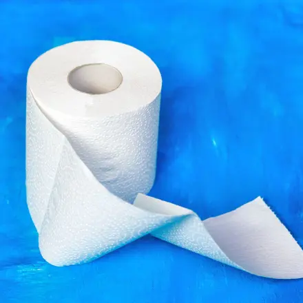 Bei Besuch immer eine extra Klopapierrolle