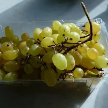 Weintrauben u. Ä. schnell & praktisch auf den Tisch bringen