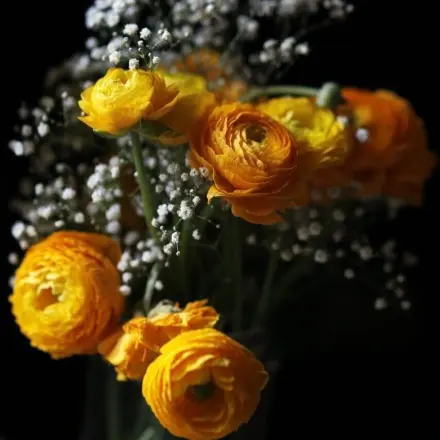 Schnittblumen / Blumenstrauß retten