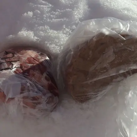 Abtauen und Einfrieren