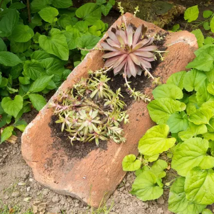Alte Dachziegel als Gartendeko nutzen