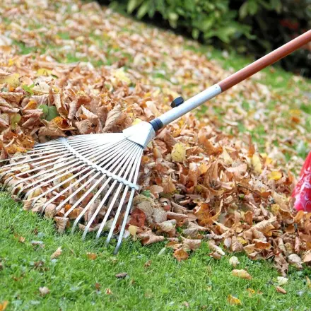 Große Laubhaufen leichter zum Kompost bringen