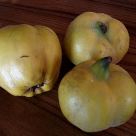 Quittenmarmelade