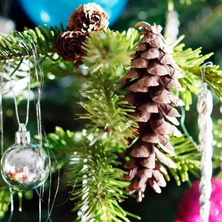 Weihnachtsschmuck aus Tannenzapfen