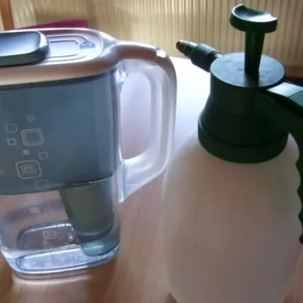 Wasser aus dem Wasserfilter für Zimmerpflanzen