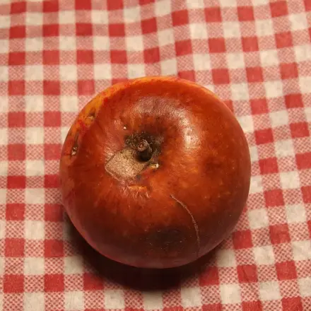 Schrumpelapfelmarmelade