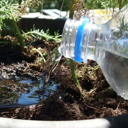 Abgestandenes Mineralwasser nutzen