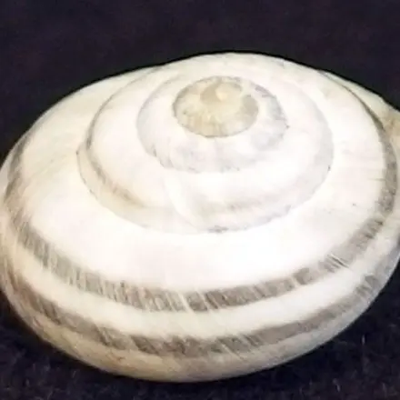 Individuelles und kreatives Geburtstagsgeschenk