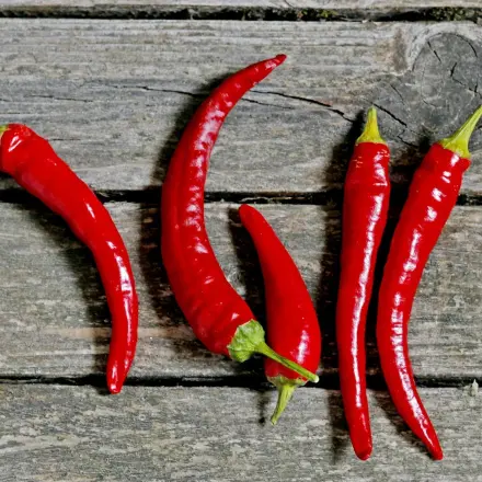 Zubereitung von Chili
