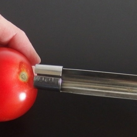 Tomatenstrunk leicht entfernen