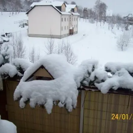 Vogel-Futterplatz auf dem Balkon