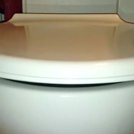 Klo putzen über Nacht einfach gemacht