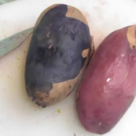 Kunterbunter Kartoffelsalat