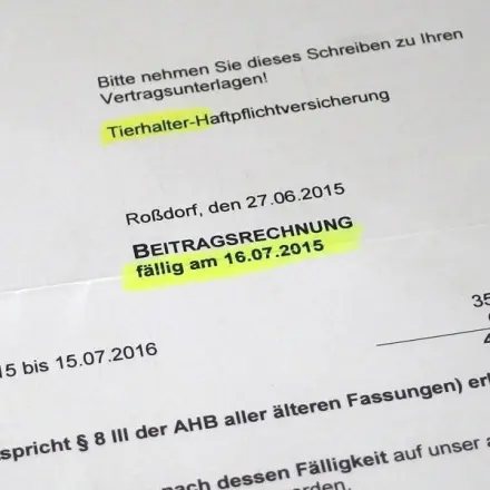 Jährliche bzw. vierteljährliche Rechnungen gut im Griff