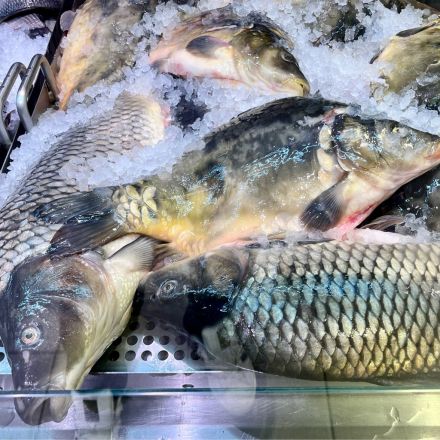 Kleiner Tipp zum Fischkauf