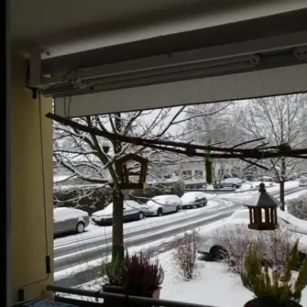 Balkonsaison für Vögel ist eröffnet