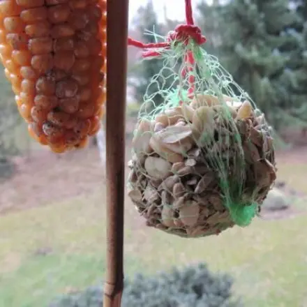 Futternetze für Vögel wiederverwenden