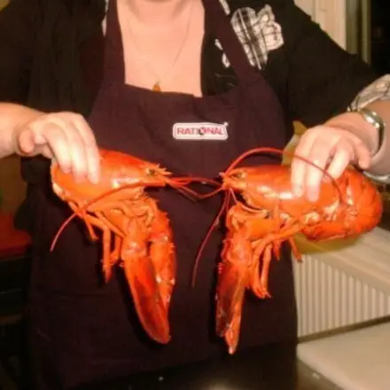 Risotto mit Krustentieren