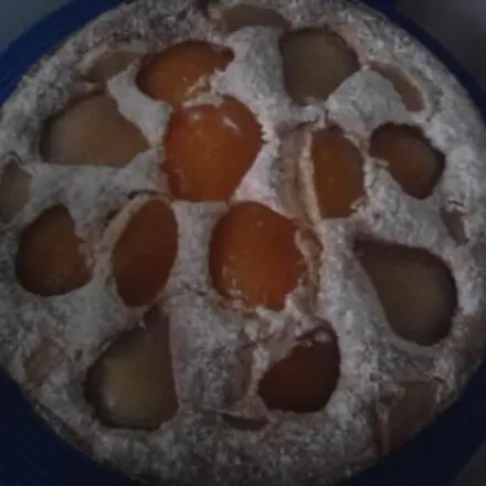 Birnen-Aprikosen-Kuchen