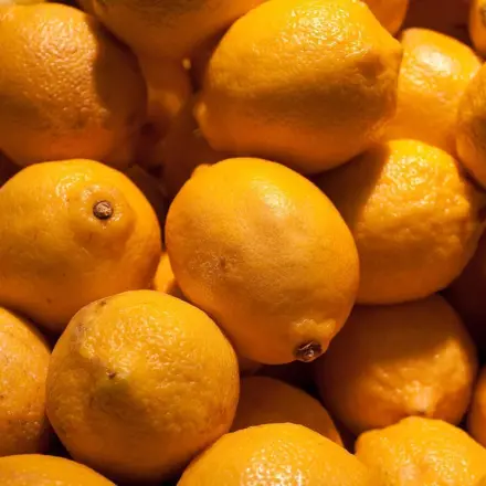 Zitronen schimmeln schnell