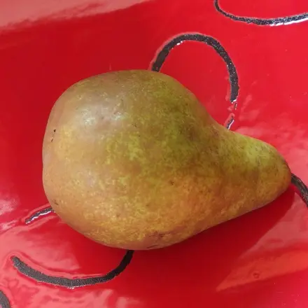 Birnenkauf: Wann ist eine Birne reif und lecker?