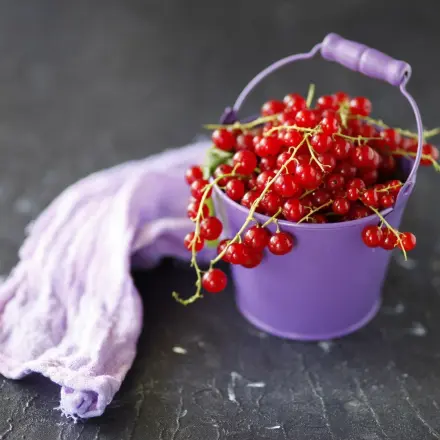 Johannisbeersoße mit Rosmarin