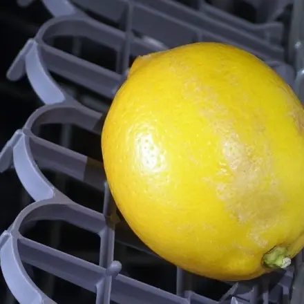 Zitronen im Geschirrspüler vom Wachs befreien