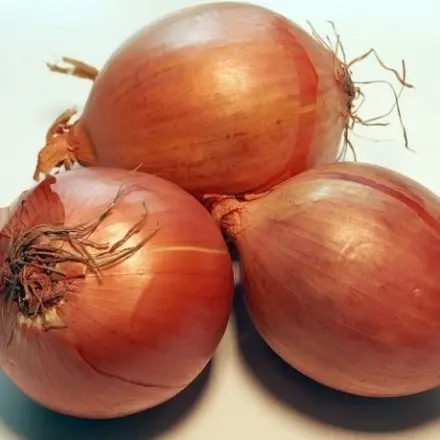 Zwiebel pellen leicht gemacht