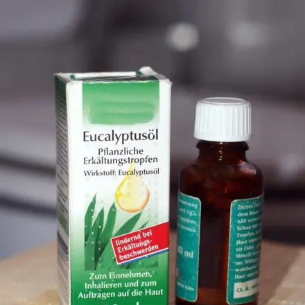 Eukalyptusöl gegen Gerüche auf der Toilette