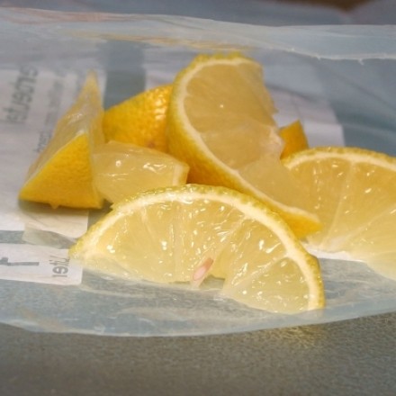 Zitronenschnitze einfrieren - Immer frischen Zitronensaft zur Hand