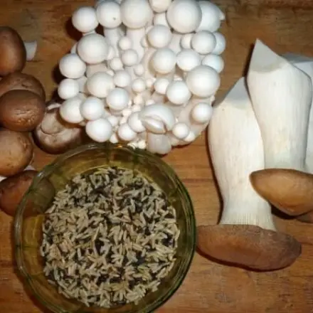 Wildreispfanne mit mehreren Pilzsorten