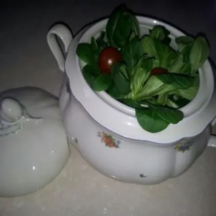 Salat beim Grillen vor Fliegen und Wespen schützen