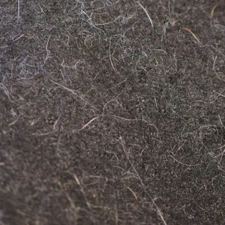 Tipps für weniger Tierhaare