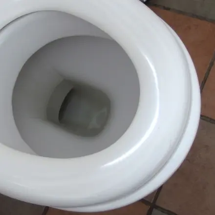 Mattgeschrubbten Klobrillen/-deckeln wieder Glanz verpassen