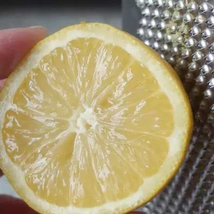 Abrieb von Zitronenschale konservieren