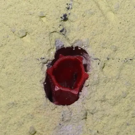 Lockere Dübel, Möbelverbindungen u.ä. fest verankern