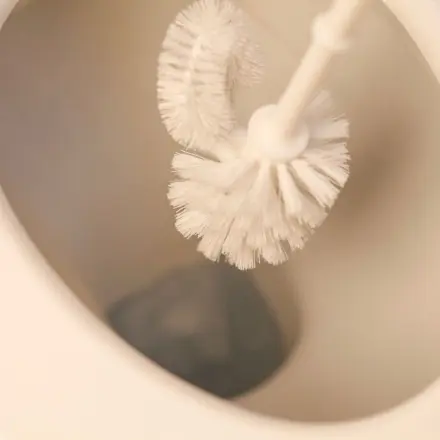 Kalk und Urinstein aus WC entfernen