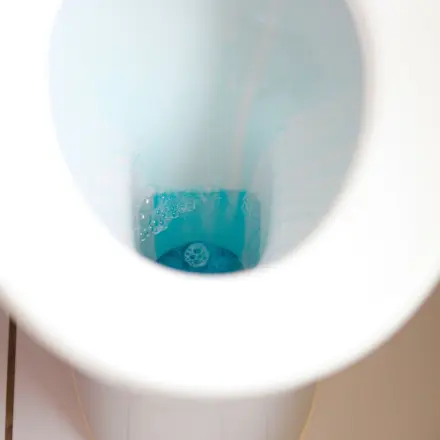 WC-Reinigungs-Tipp