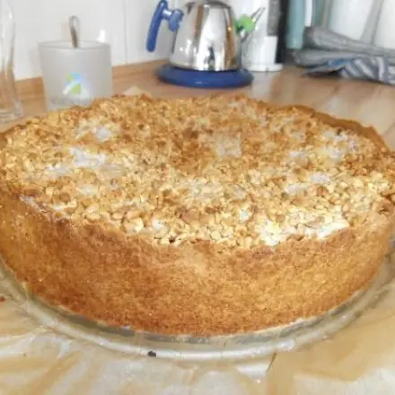 Apfelkuchen mit Krokant