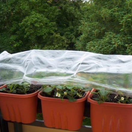 Upcycling: Regenschutzdach für Balkonkästen